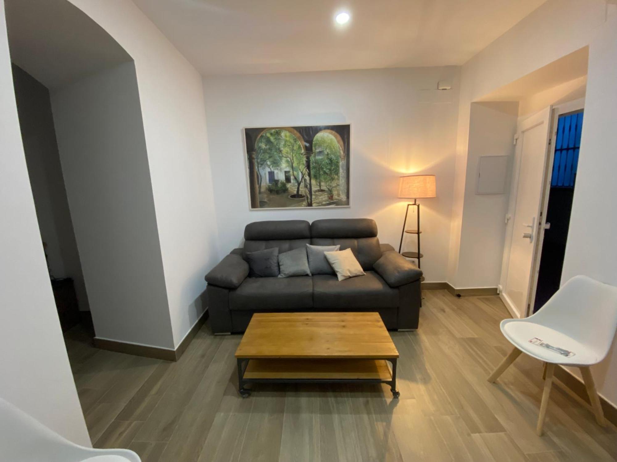 Suites Del Mar Y Suite De Cordoba - Apartmentos En Pleno Centro Córdoba Exterior foto